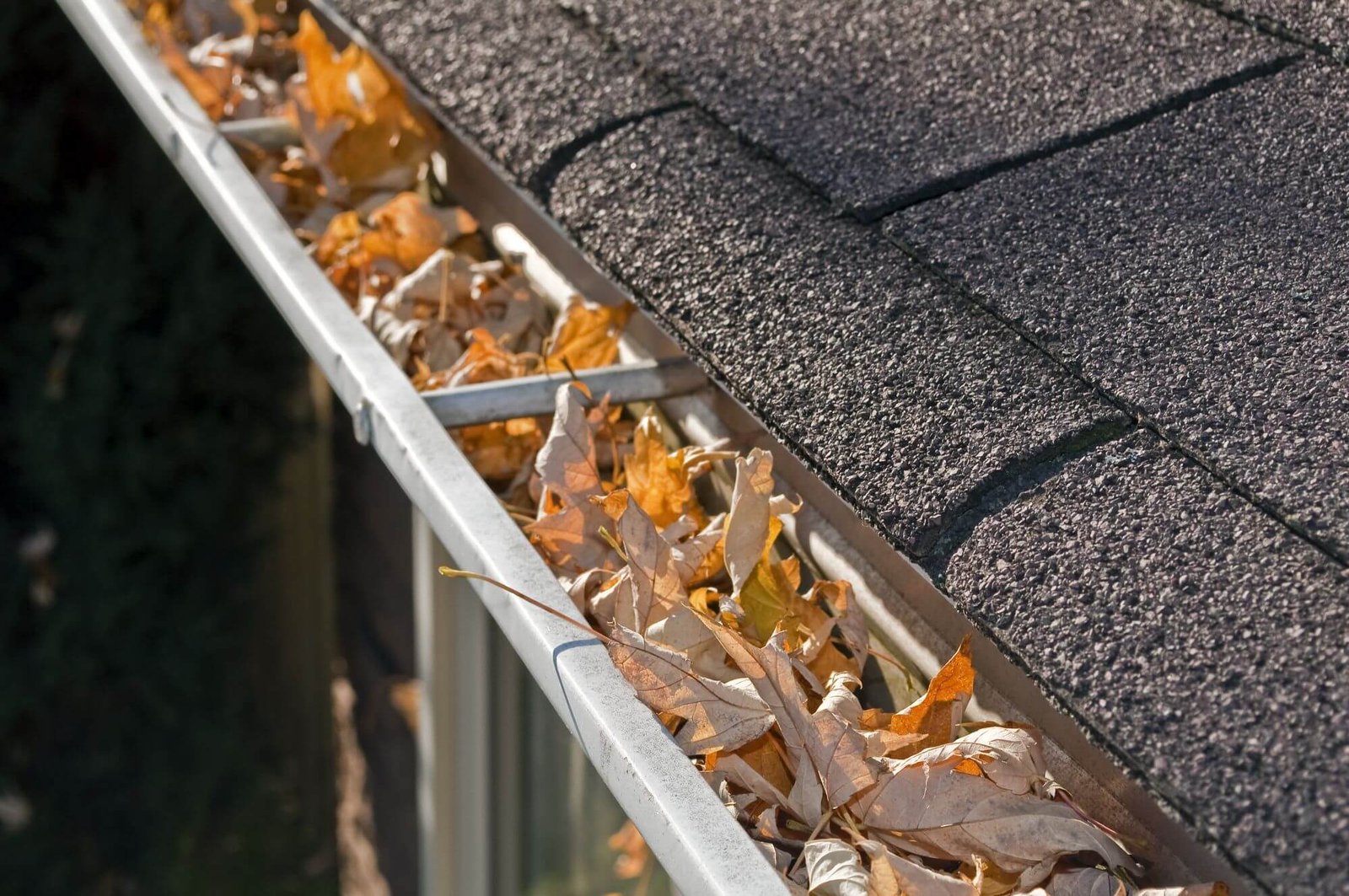 Gutter cleaning in Longview, WA – protect your roof and foundation