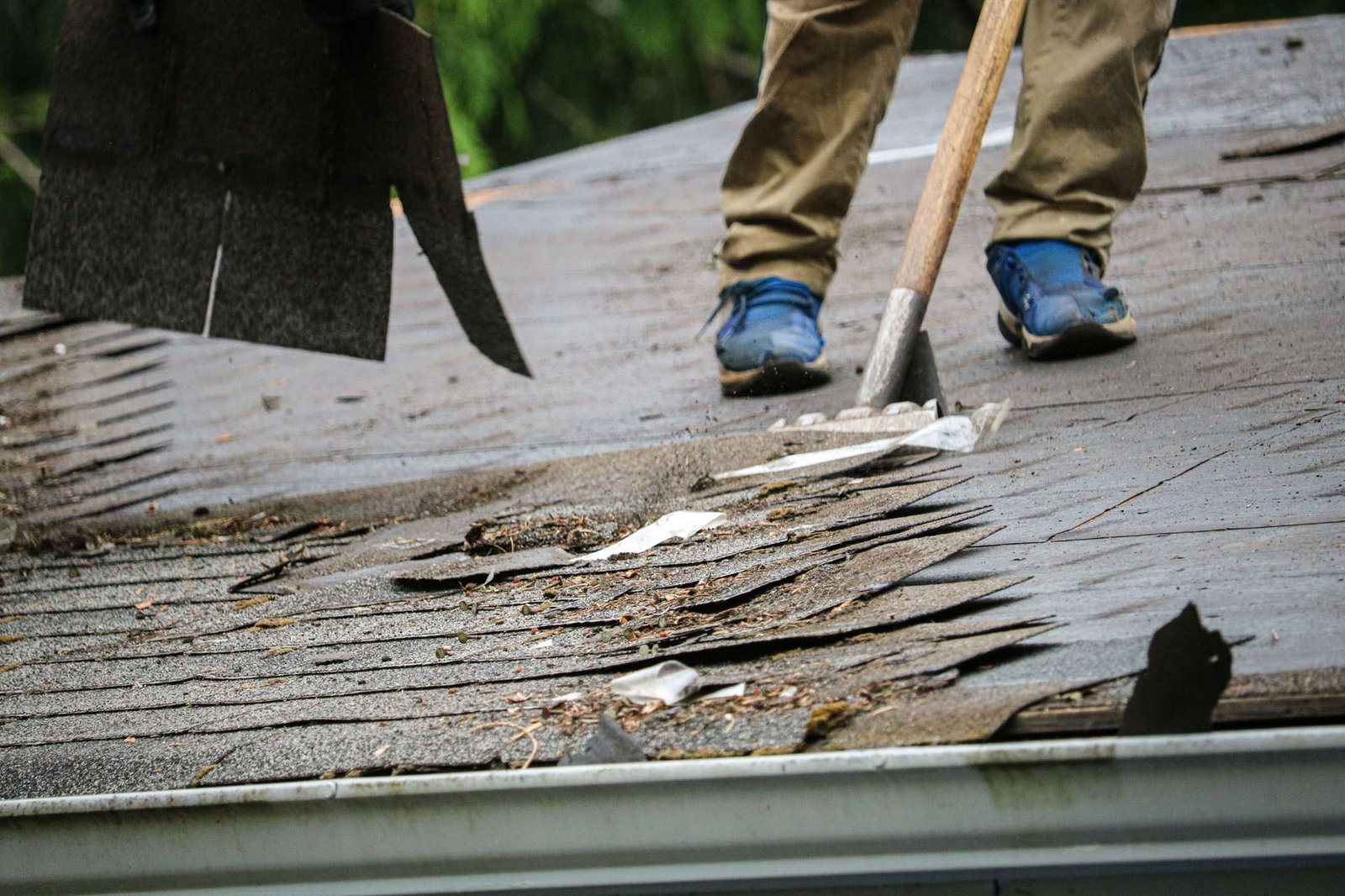 Completed asphalt shingle roof in Longview, Washington