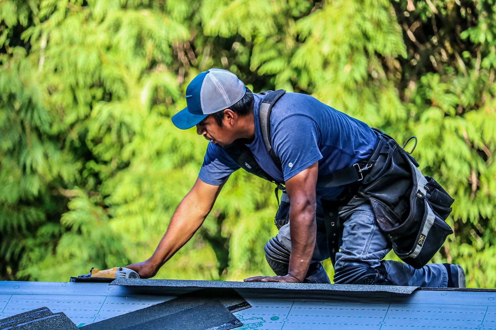 Gable roof shingle installation in Cowlitz County, WA